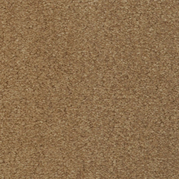 Close-up view of Seduction On Trend Carpet in Tea Chest color, featuring a brown, textured surface with tightly woven fibers for a soft, even finish.