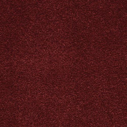Close-up of the Grand Isle Family Friendly Carpet in Temptation. This deep burgundy carpet has a soft, plush texture with uniform color and subtle fibers—an elegant and inviting choice for any space.