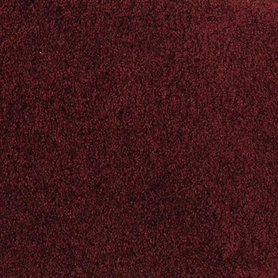 A close-up of the Oceanside Family Friendly Carpet in Temptation shows its soft, textured surface, offering plush, comfortable flooring that’s perfect for any family room.