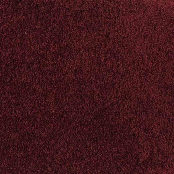 A close-up of the Oceanside Family Friendly Carpet in Temptation shows its soft, textured surface, offering plush, comfortable flooring that’s perfect for any family room.