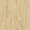 Tender Twig Oak