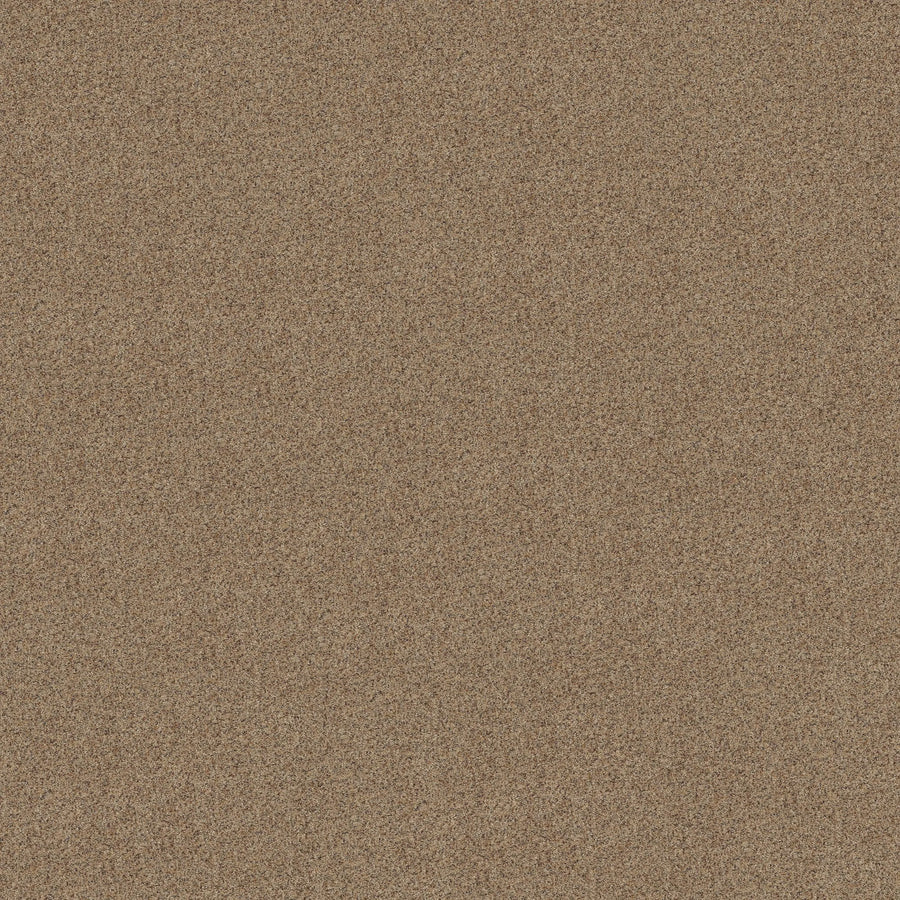 Close-up of Canyon Lake Family Friendly Carpet in Terrazzo, featuring a dense pattern and slightly textured surface—an excellent choice for contemporary spaces due to its resilience and durability.