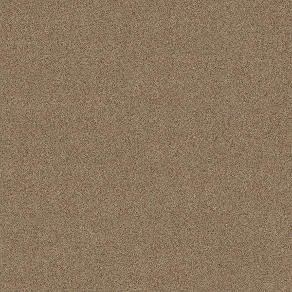 Close-up of Canyon Lake Family Friendly Carpet in Terrazzo, featuring a dense pattern and slightly textured surface—an excellent choice for contemporary spaces due to its resilience and durability.