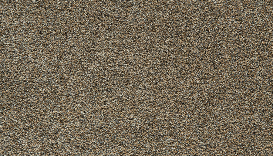 Close-up of brown and beige textured carpet fibers, showing a dense and soft surface with a mix of neutral tones—this plush Cozy Companion Pet Friendly Carpet in the color Thatched offers both comfort and style for any home.