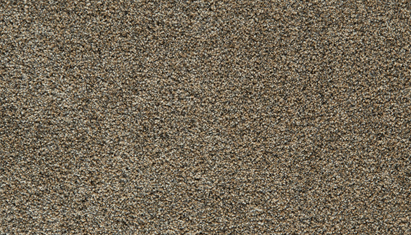 Close-up of brown and beige textured carpet fibers, showing a dense and soft surface with a mix of neutral tones—this plush Cozy Companion Pet Friendly Carpet in the color Thatched offers both comfort and style for any home.