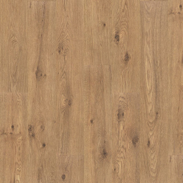 Close-up of Woodland Resort 8 11/32