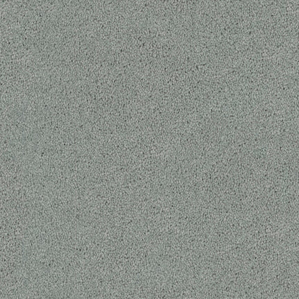 Tribute Family Friendly Carpet in Tiffany features a light gray, textured surface with small, grainy speckles—delivering a durable, stain-resistant option ideal for families.
