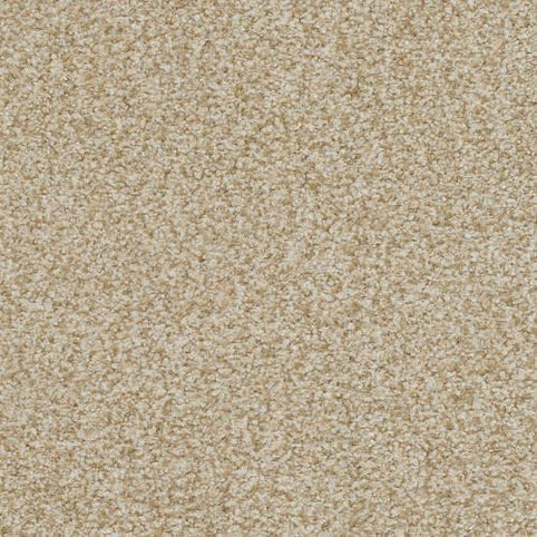 Boca Raton Family Friendly Carpet in Timeless color features a tightly woven, textured, and slightly speckled design made from premium materials—providing soft, durable flooring with a neutral look ideal for Boca Raton homes.