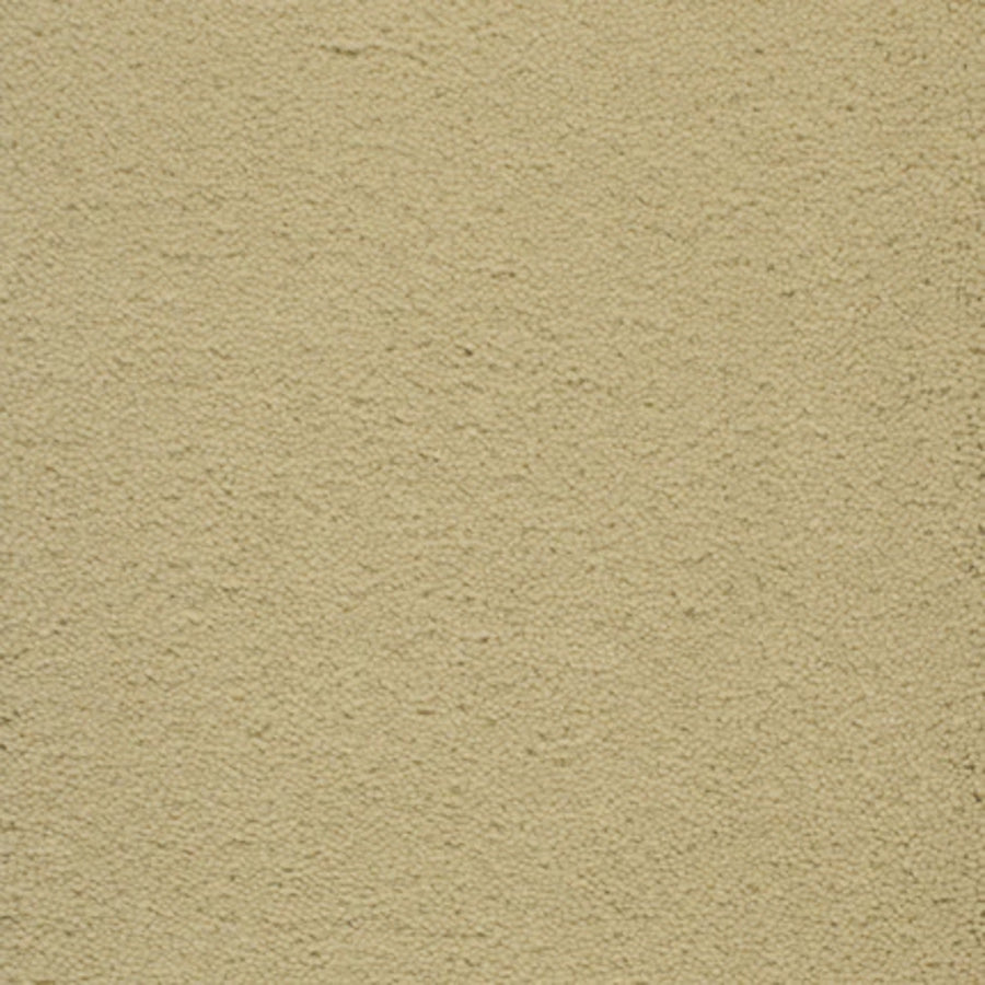 Close-up of Dolce Family Friendly Carpet in Toast, featuring a textured surface—perfect for high-traffic areas that need both durability and style.