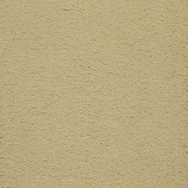 Close-up of Dolce Family Friendly Carpet in Toast, featuring a textured surface—perfect for high-traffic areas that need both durability and style.