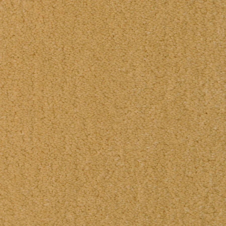 Close-up of Seduction On Trend Carpet in Torchlight, featuring a textured, light brown surface with soft, dense fibers for lasting durability and a cozy, stylish look—perfect for adding comfort and elegance to any room.