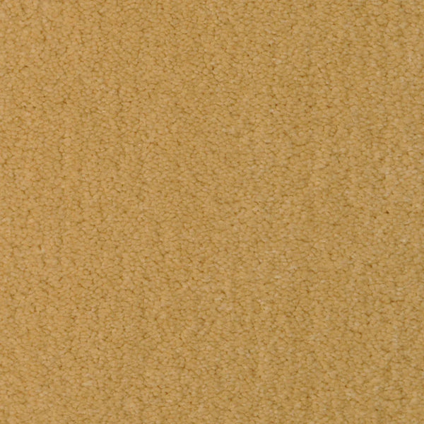 Close-up of Seduction On Trend Carpet in Torchlight, featuring a textured, light brown surface with soft, dense fibers for lasting durability and a cozy, stylish look—perfect for adding comfort and elegance to any room.