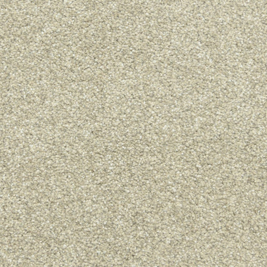 Close-up of Maroon Bells Family Friendly Carpet in Touch Of Gray, featuring a soft, dense, and even pile. The uniform surface has tightly packed fibers, offering a cozy and neutral background ideal for families.