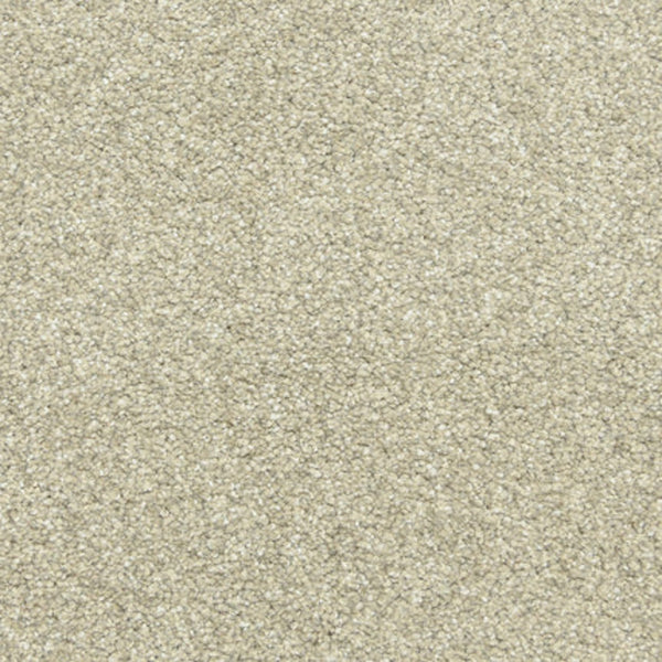 Close-up of Maroon Bells Family Friendly Carpet in Touch Of Gray, featuring a soft, dense, and even pile. The uniform surface has tightly packed fibers, offering a cozy and neutral background ideal for families.
