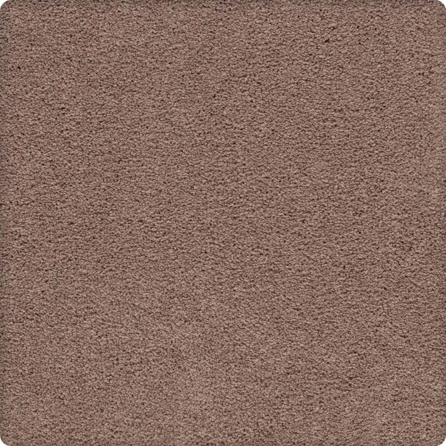 Close-up of the Traditional Cheer Pet Friendly Carpet in Sunwashed Brick, featuring a soft, textured surface with rounded corners—durable and ideal for everyday living.