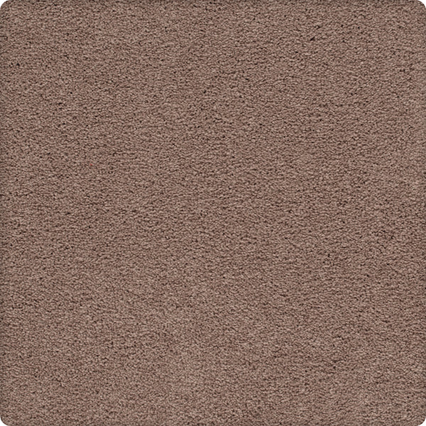 Close-up of the Traditional Cheer Pet Friendly Carpet in Sunwashed Brick, featuring a soft, textured surface with rounded corners—durable and ideal for everyday living.