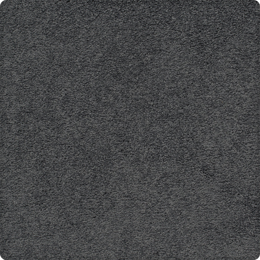 A close-up of Traditional Cheer Pet Friendly Carpet in Catalina Coast, featuring stain-resistant, durable fibers and a soft, velvety texture. The image highlights the carpet’s quality and pet-friendly design.