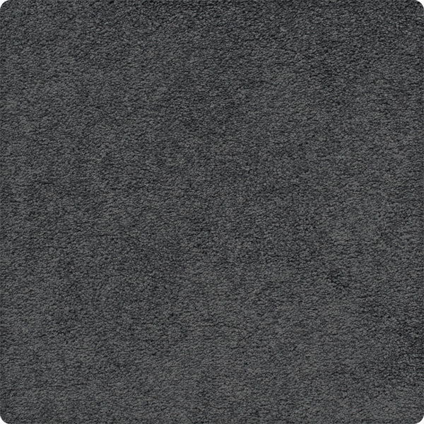 A close-up of Traditional Cheer Pet Friendly Carpet in Catalina Coast, featuring stain-resistant, durable fibers and a soft, velvety texture. The image highlights the carpet’s quality and pet-friendly design.