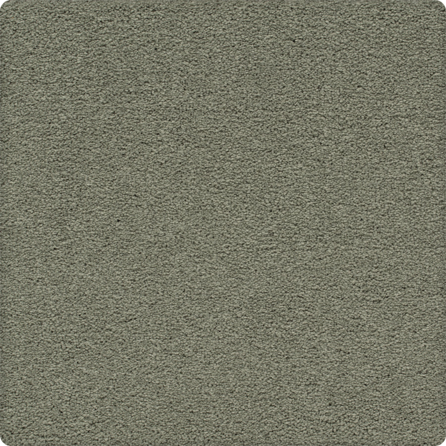 Traditional Cheer Pet Friendly Carpet in Ashed features a durable, slightly rough textured surface in muted grey-green, offering an even pattern that’s ideal for homes with pets.