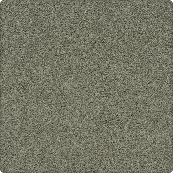 Traditional Cheer Pet Friendly Carpet in Ashed features a durable, slightly rough textured surface in muted grey-green, offering an even pattern that’s ideal for homes with pets.