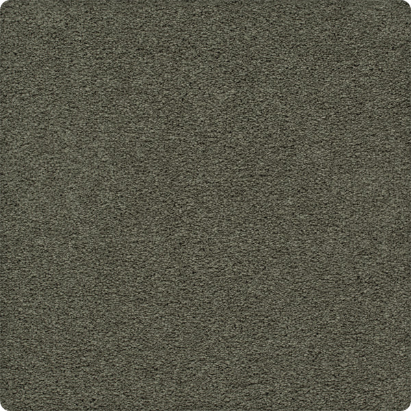 A close-up of the Traditional Cheer Pet Friendly Carpet in Back To, featuring a soft, textured surface, rounded corners, and stain resistance—ideal for homes with pets.