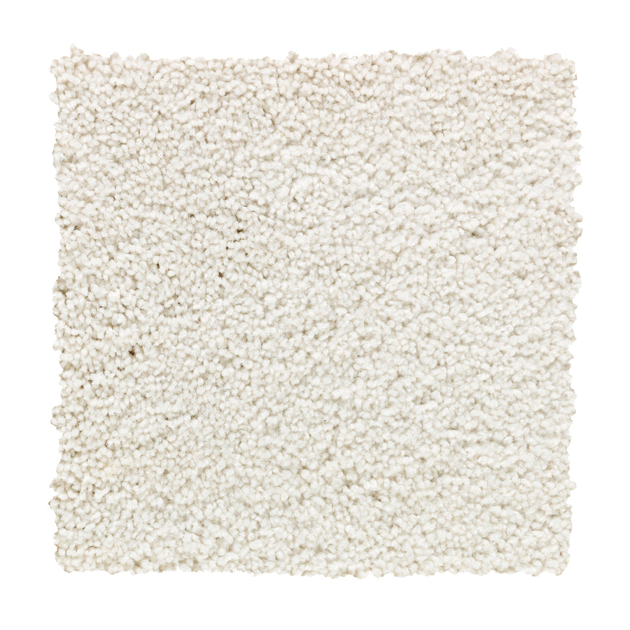A square sample of Traditional Cheer Pet Friendly Carpet in Allure, featuring an off-white, textured, stain-resistant looped pile, is displayed against a plain white background.