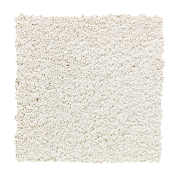 A square sample of Traditional Cheer Pet Friendly Carpet in Allure, featuring an off-white, textured, stain-resistant looped pile, is displayed against a plain white background.
