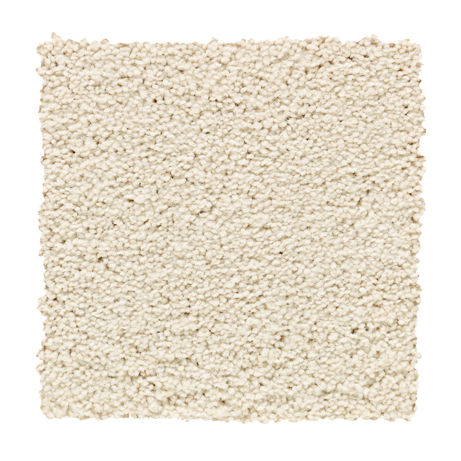 A square swatch of Traditional Cheer Pet Friendly Carpet in Charm color, featuring off-white, textured, durable, small looped fibers—both stylish and pet friendly—displayed on a white background.