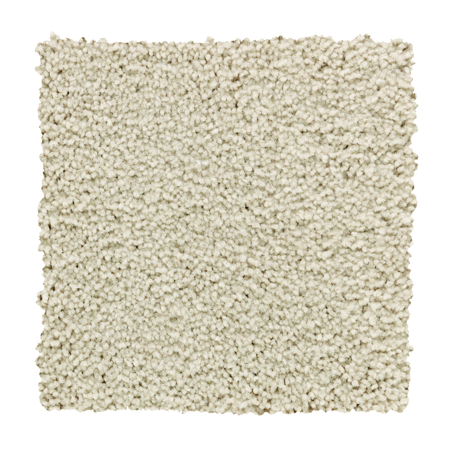 A square sample of Traditional Cheer Pet Friendly Carpet in Dreamy—a light beige, textured, looped pile carpet photographed on white. This durable carpet is stain resistant and ideal for homes with pets.
