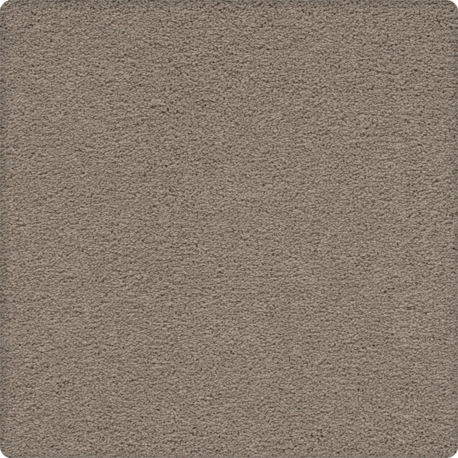 Close-up view of the Traditional Cheer Pet Friendly Carpet in Charismatic—a soft, textured, light brown, stain-resistant carpet with rounded corners, perfect for homes seeking durable comfort.