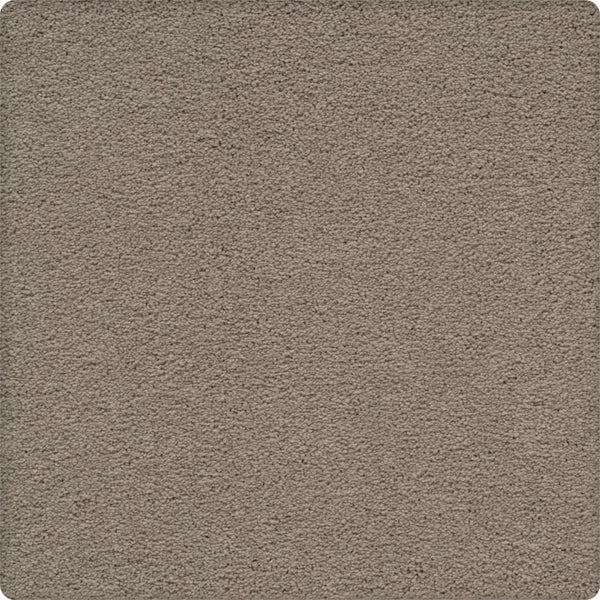 Close-up view of the Traditional Cheer Pet Friendly Carpet in Charismatic—a soft, textured, light brown, stain-resistant carpet with rounded corners, perfect for homes seeking durable comfort.