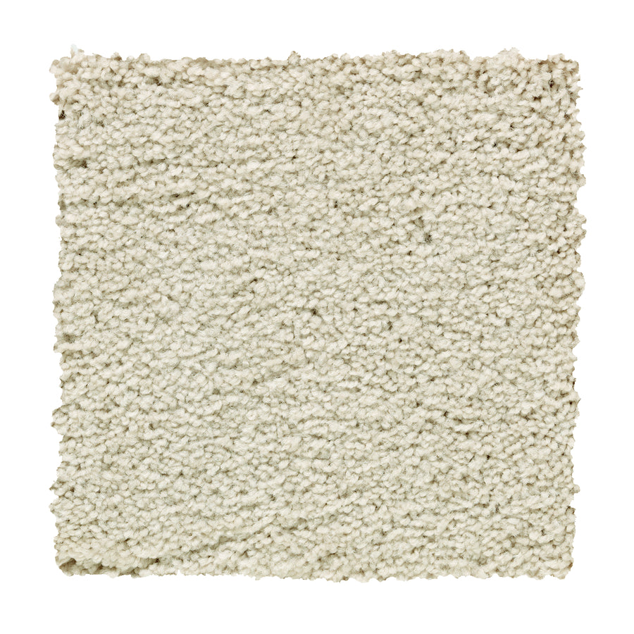 Square sample of Traditional Cheer Pet Friendly Carpet in Manuscript color, featuring an off-white, textured, soft plush surface with tightly woven fibers, displayed on a plain white background.