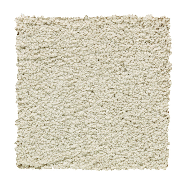 Square sample of Traditional Cheer Pet Friendly Carpet in Manuscript color, featuring an off-white, textured, soft plush surface with tightly woven fibers, displayed on a plain white background.