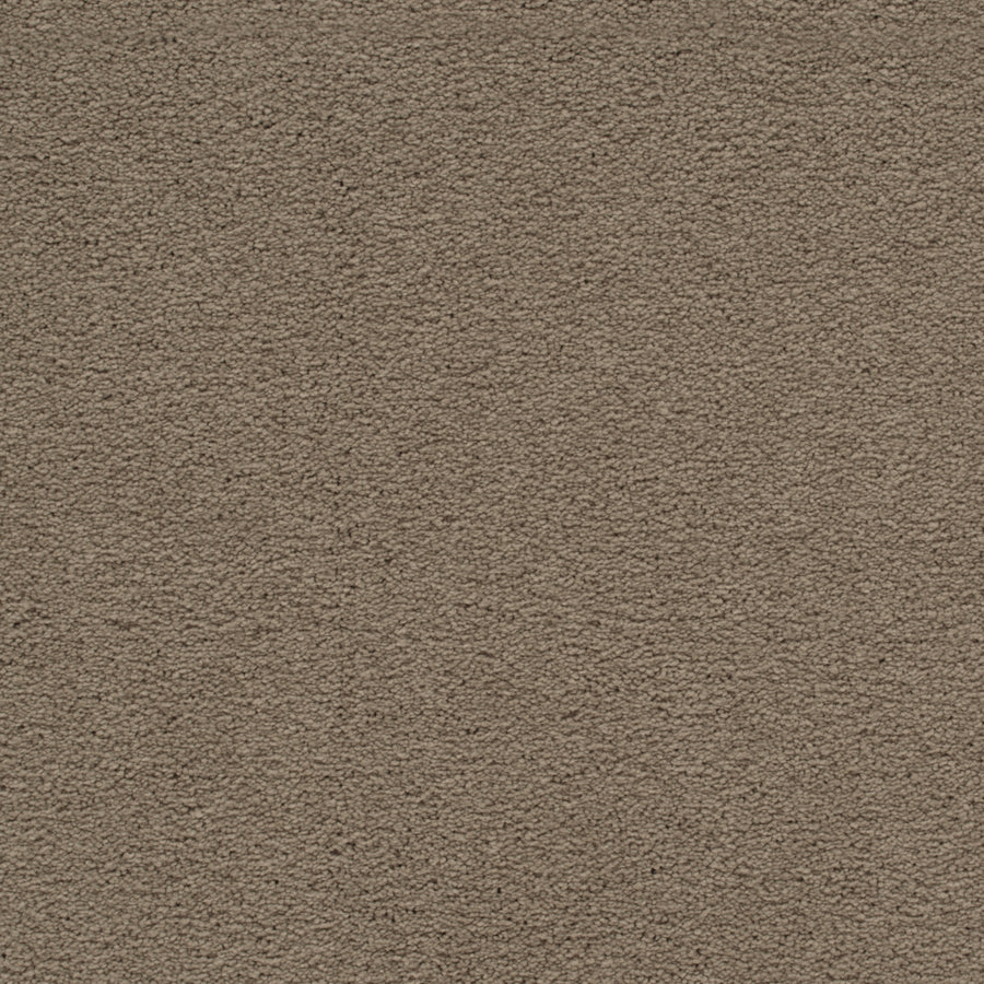Close-up of Traditional Cheer Pet Friendly Carpet in Fawn, featuring tightly woven fibers for a soft, uniform surface. Its stain-resistant, durable design and neutral color make it an ideal choice for homes with pets.