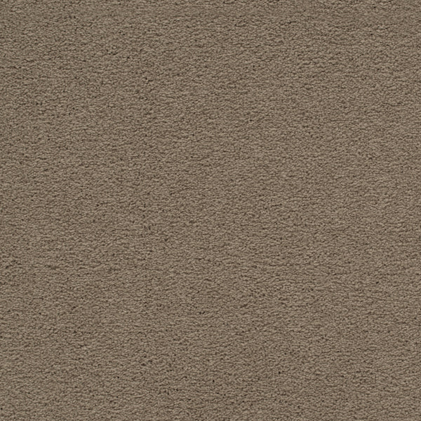 Close-up of Traditional Cheer Pet Friendly Carpet in Fawn, featuring tightly woven fibers for a soft, uniform surface. Its stain-resistant, durable design and neutral color make it an ideal choice for homes with pets.