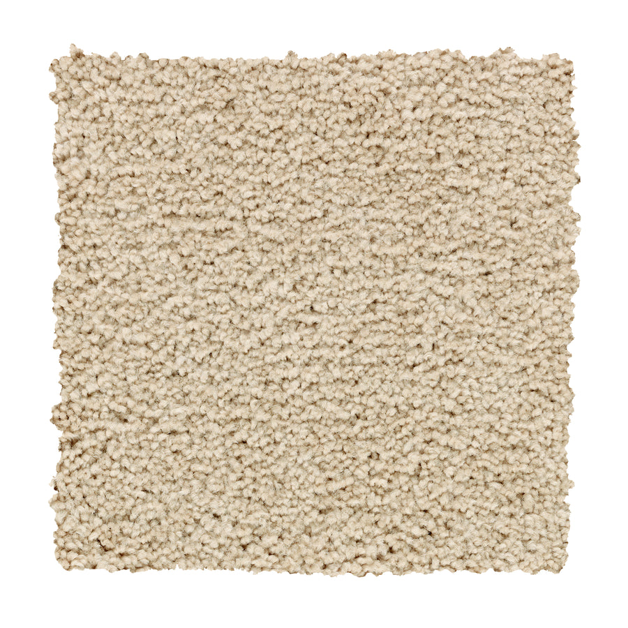 A square swatch of Traditional Cheer Pet Friendly Carpet in Brilliant, featuring a beige, textured, stain-resistant surface with plush looped pile, is displayed against a white background.
