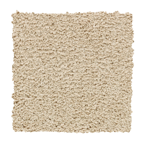 A square swatch of Traditional Cheer Pet Friendly Carpet in Brilliant, featuring a beige, textured, stain-resistant surface with plush looped pile, is displayed against a white background.