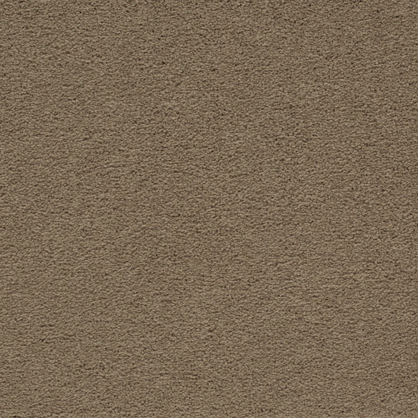 Close-up of Traditional Cheer Pet Friendly Carpet in Universal Khaki, showing its dense, durable, stain-resistant texture—ideal for busy or pet-friendly homes.