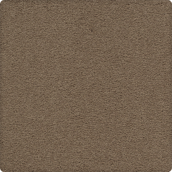 Close-up of the Traditional Cheer Pet Friendly Carpet in Dapper color, showing its rectangular, rounded-corner shape. The soft, plush texture is durable and designed to be pet friendly.