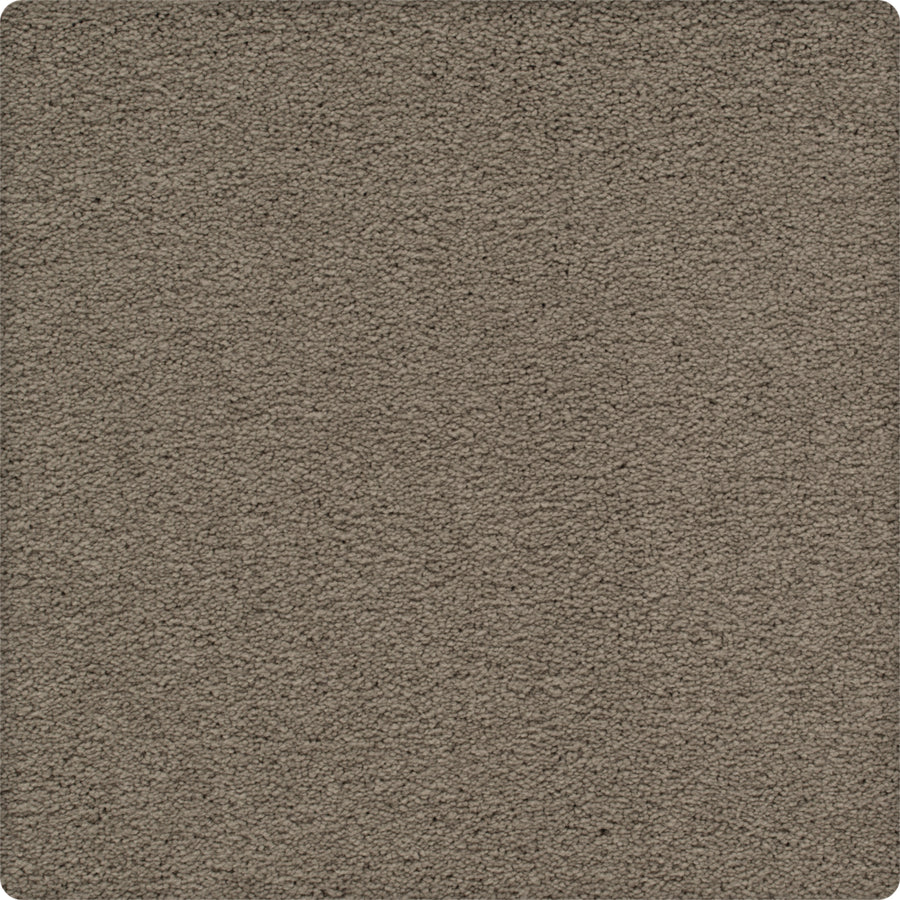 A close-up of Traditional Cheer Pet Friendly Carpet in Luxury color, featuring a soft, even surface with textured, light brown tones and rounded corners.