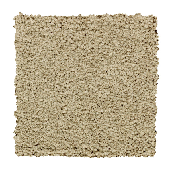 A square sample of Traditional Cheer Pet Friendly Carpet in Graceful, featuring a beige, textured and soft looped pile. Shown on a white background, this durable carpet is both pet friendly and stain resistant.