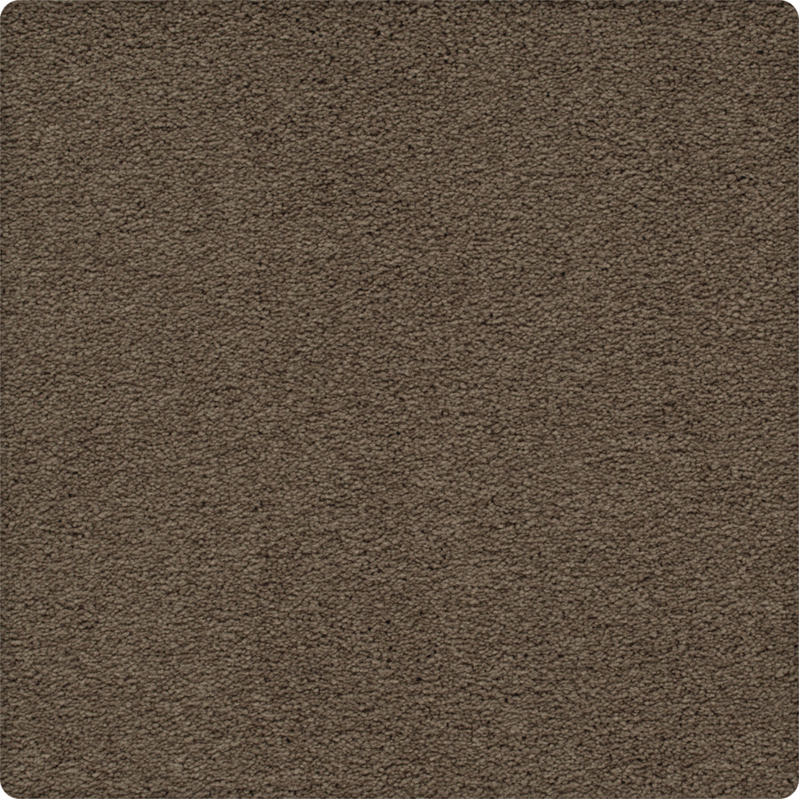 Close-up of Traditional Cheer Pet Friendly Carpet in Manhattan color, featuring a soft, textured surface and stain resistance. Image shown with slightly rounded edges.