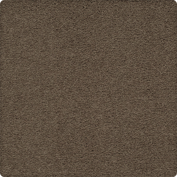 Close-up of Traditional Cheer Pet Friendly Carpet in Manhattan color, featuring a soft, textured surface and stain resistance. Image shown with slightly rounded edges.