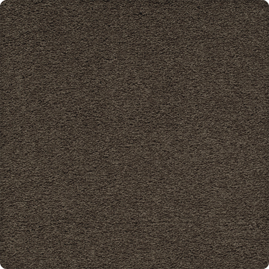 Close-up of the Traditional Cheer Pet Friendly Carpet in Fortress—a soft, durable, stain-resistant carpet with a plush, textured surface and rounded corners, ideal for homes with pets.