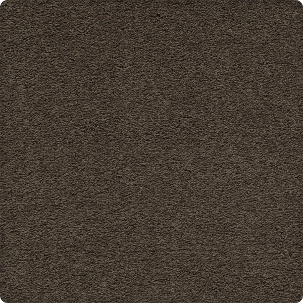 Close-up of the Traditional Cheer Pet Friendly Carpet in Fortress—a soft, durable, stain-resistant carpet with a plush, textured surface and rounded corners, ideal for homes with pets.