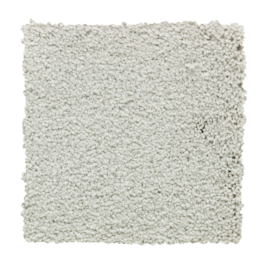 A square sample of Traditional Cheer Pet Friendly Carpet in Riverdale, a light gray textured, fluffy carpet shown on a white background; this stain-resistant carpet is ideal for busy homes.
