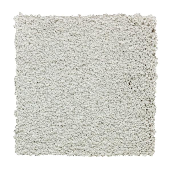 A square sample of Traditional Cheer Pet Friendly Carpet in Riverdale, a light gray textured, fluffy carpet shown on a white background; this stain-resistant carpet is ideal for busy homes.