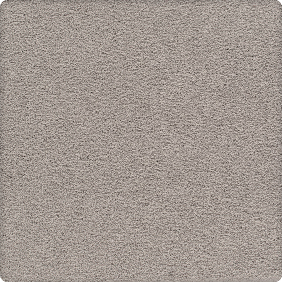 A close-up of the Traditional Cheer Pet Friendly Carpet in Planetary—a light gray, soft-textured, durable carpet with a uniform, plush surface and rounded corners—ideal for pet-friendly homes.