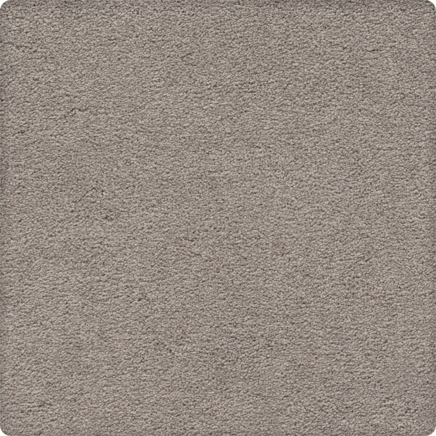 Close-up view of Traditional Cheer Pet Friendly Carpet in Hunter'S color, featuring a soft, plush, stain resistant surface. Its uniform texture and pet-friendly durability provide lasting comfort for any room.