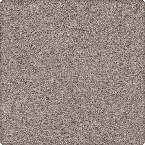 Close-up view of Traditional Cheer Pet Friendly Carpet in Hunter'S color, featuring a soft, plush, stain resistant surface. Its uniform texture and pet-friendly durability provide lasting comfort for any room.